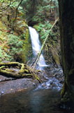 Falls near Sol Duc, ONP, Copyright 2000 Karen and James Byerly