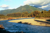 Hoh River, ONP, Copyright 2000 Karen and James Byerly