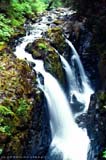 Sol Duc Falls, ONP, Copyright 2000 Karen and James Byerly