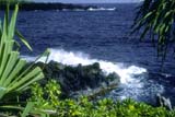 Waianapanapa Shoreline