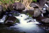 Iao Stream