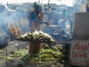 A vendor selling freshly roasted corn.  Just like the State Fair!